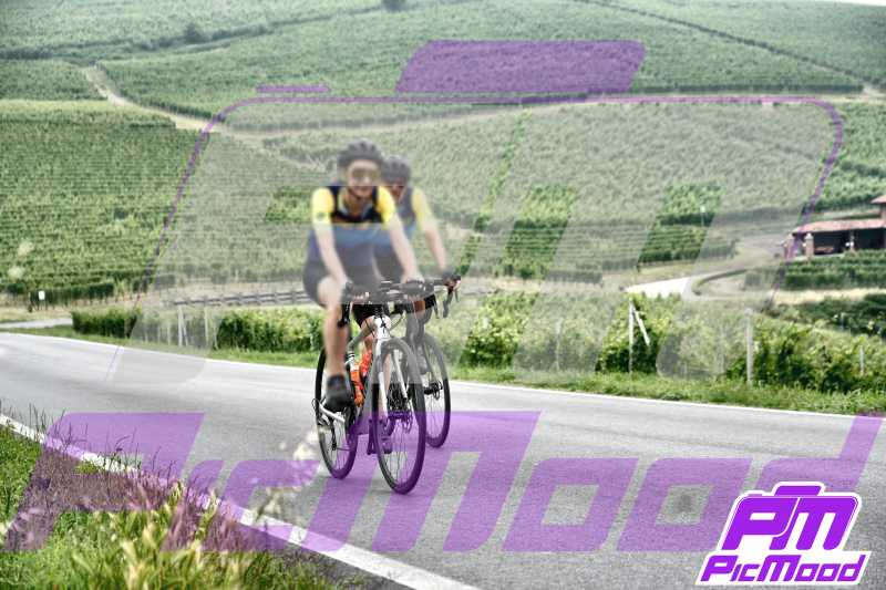 Foto Barolo 15 giu 2024 09:44