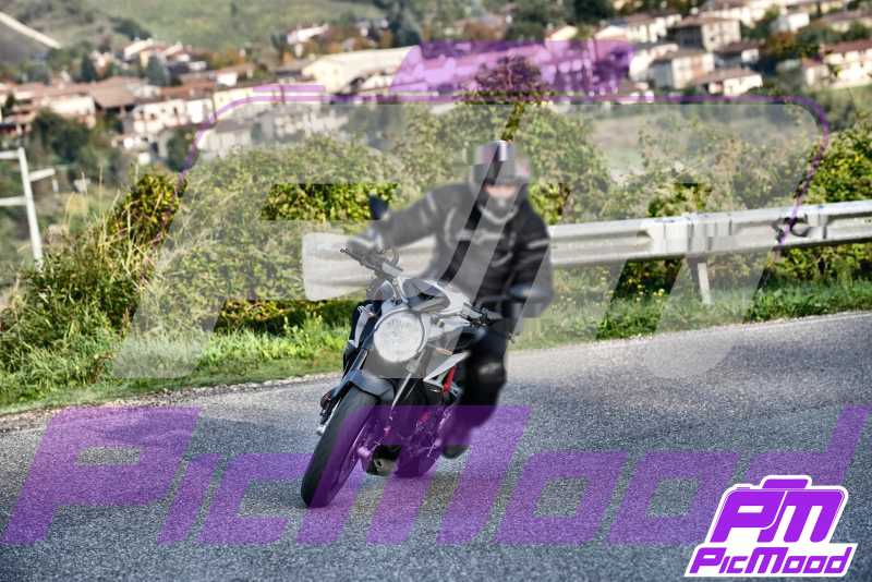 Foto Vernasca 12 ott 2024 09:20