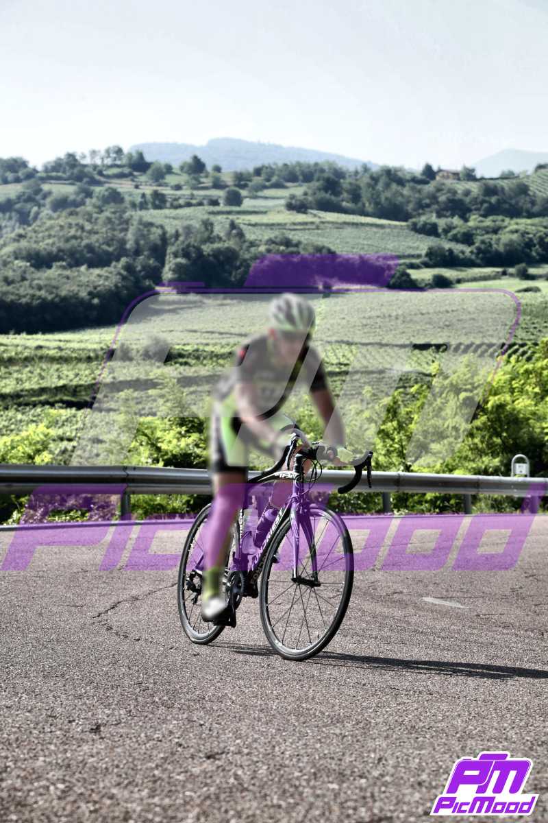 Foto Altopiano del Brentonico 21 lug 2024 09:16