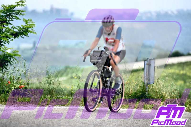 Foto Monferrato 8 giu 2024 09:27