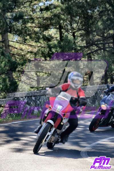 Foto Passo del Muraglione 19 ott 2025 10:33