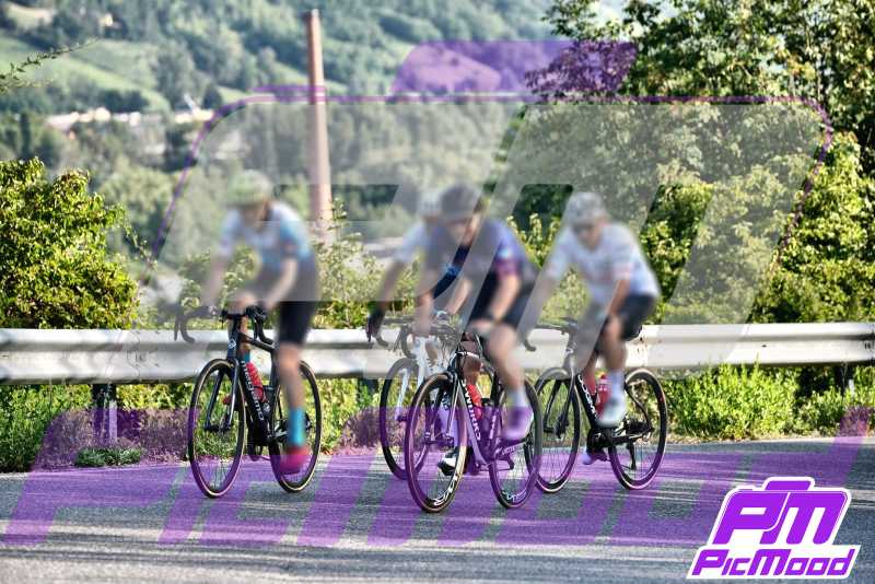 Foto Vernasca 24 ago 2024 08:39