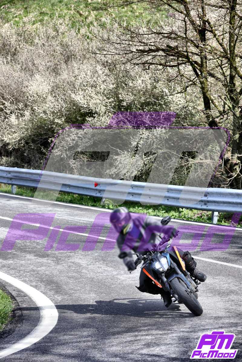 Foto Passo della Cisa versante Toscana 19 apr 2025 10:31