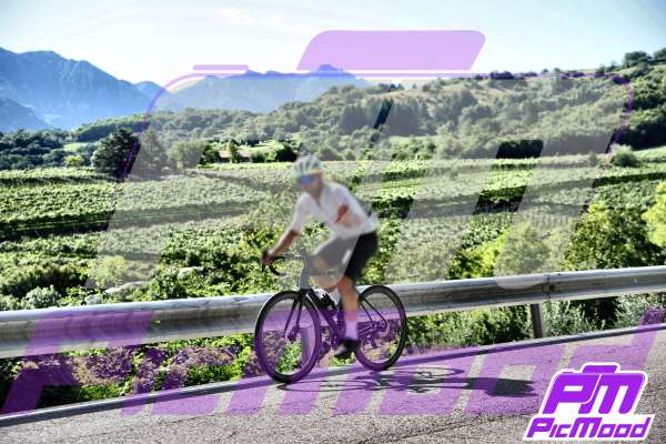 Foto Altopiano del Brentonico 27 lug 2025 09:28