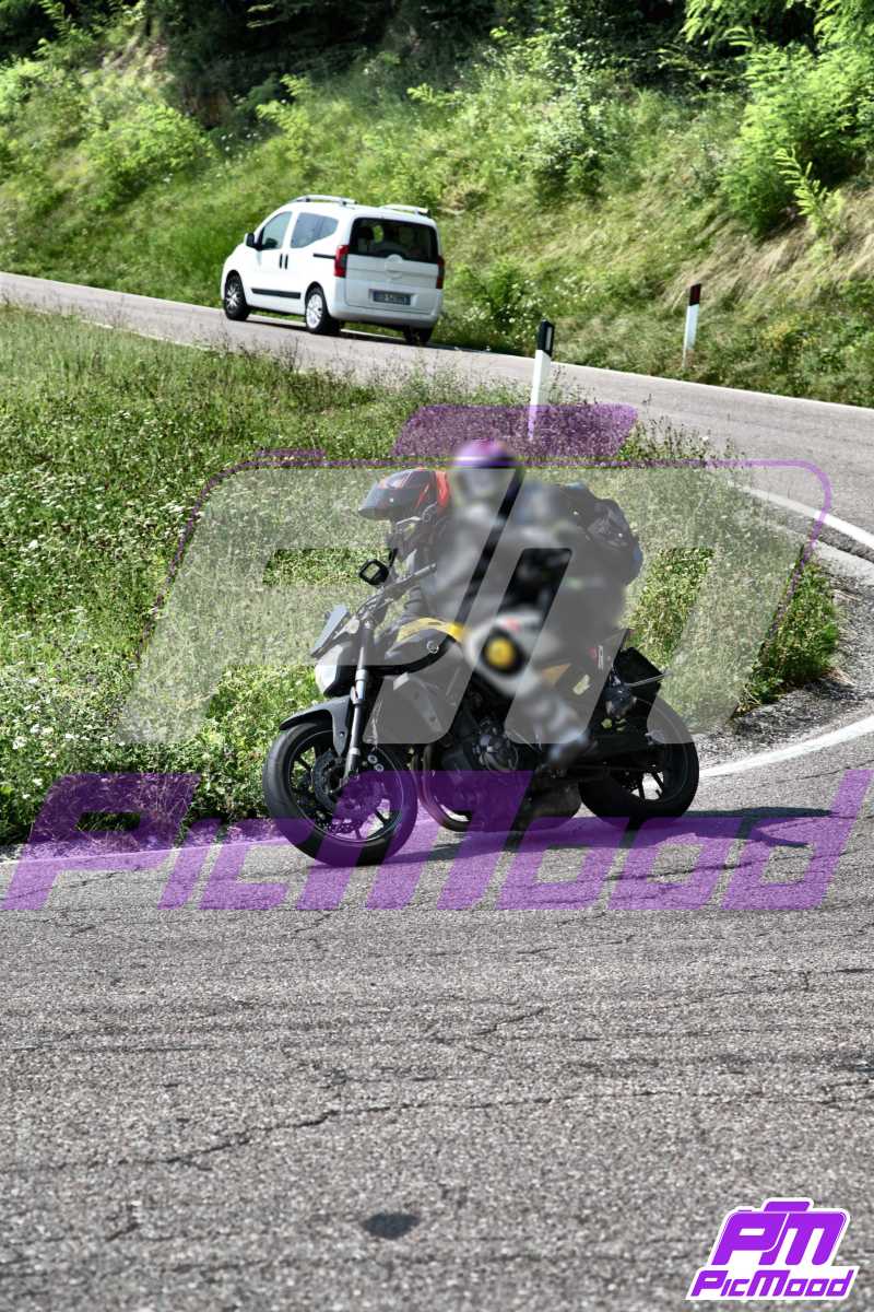 Foto Altopiano del Brentonico 28 lug 2024 09:47