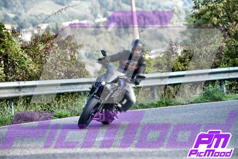 Foto Vernasca 12 ott 2024 09:22