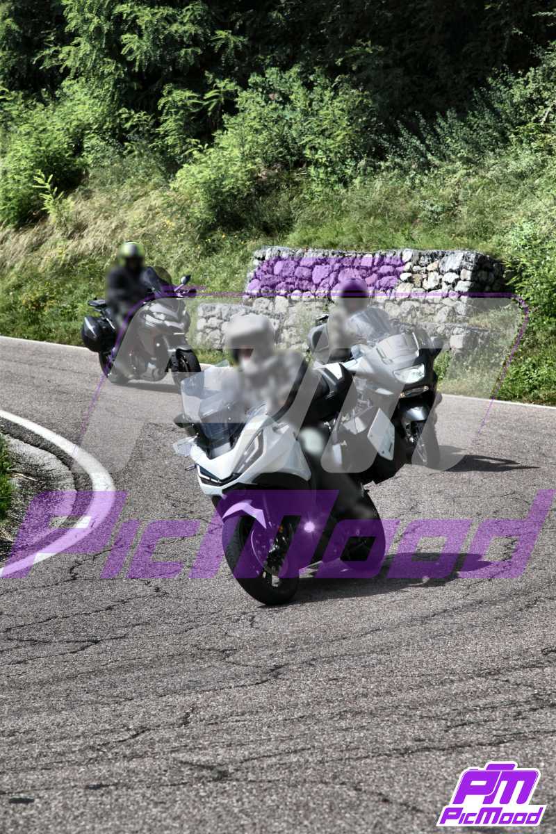 Foto Altopiano del Brentonico 20 lug 2024 09:39