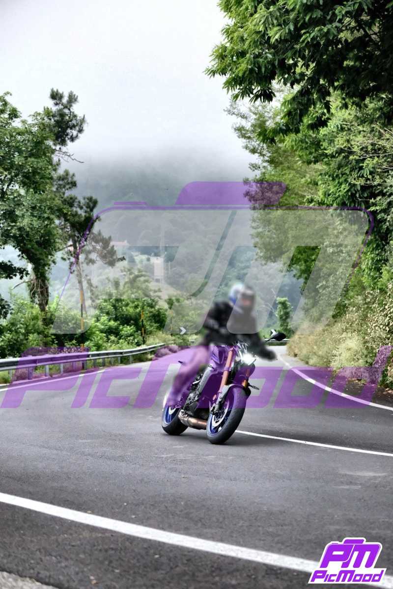 Foto Passo del Turchino 7 giu 2025 09:22