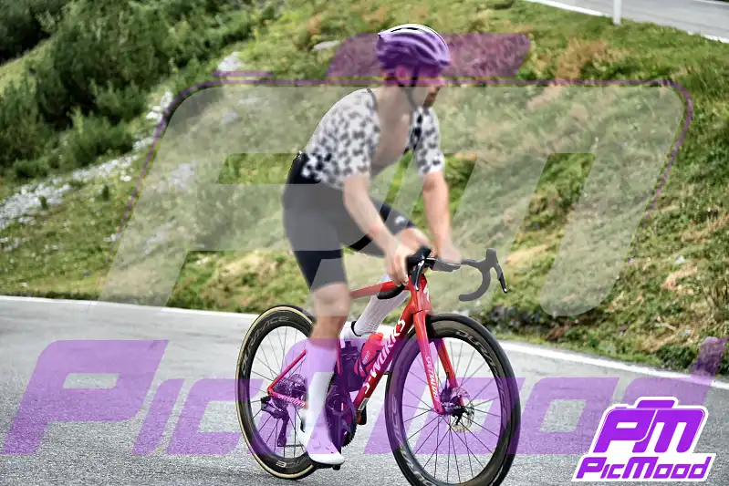 Foto Passo dello Stelvio 16 ago 2026 09:21