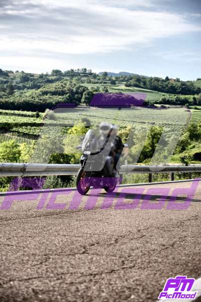 Foto Altopiano del Brentonico 20 lug 2025 09:06
