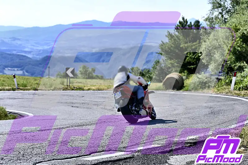 Foto Passo del Cerreto 4 lug 2026 09:05
