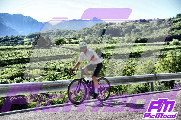 Foto Altopiano del Brentonico 27 lug 2025 09:28