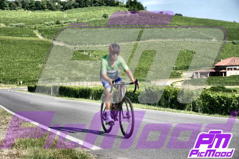 Foto Barolo 14 lug 2024 09:34