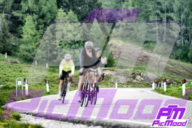Foto Passo Rolle 8 giu 2025 10:35