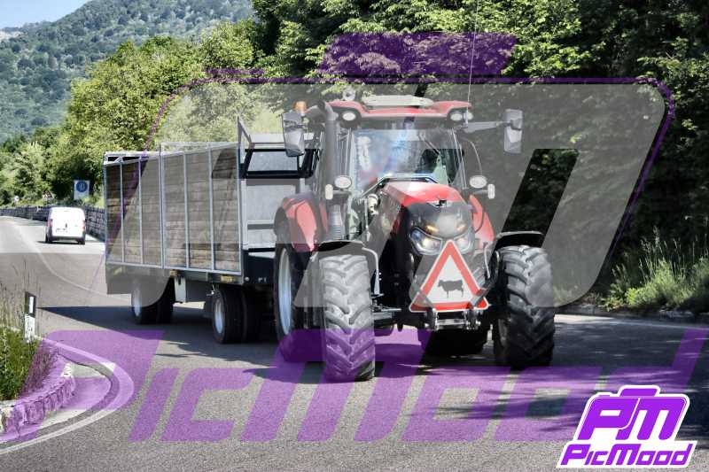 Foto Costo di Asiago 31 mag 2025 09:03