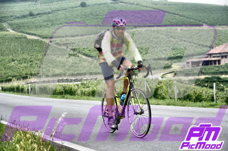 Foto Barolo 15 giu 2024 09:43