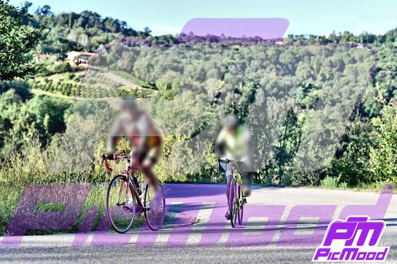 Foto Monferrato 14 set 2024 08:50