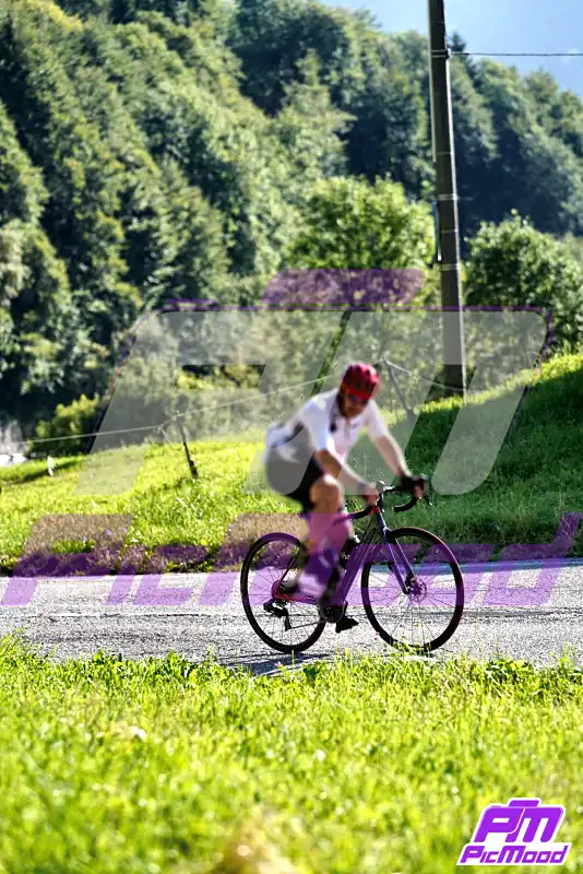 Foto Passo di Zambla 18 lug 2026 08:43