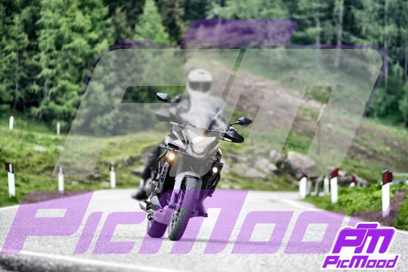 Foto Passo Rolle 8 giu 2025 10:31