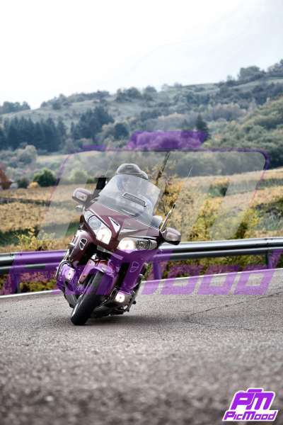 Foto Altopiano del Brentonico 19 ott 2025 09:51