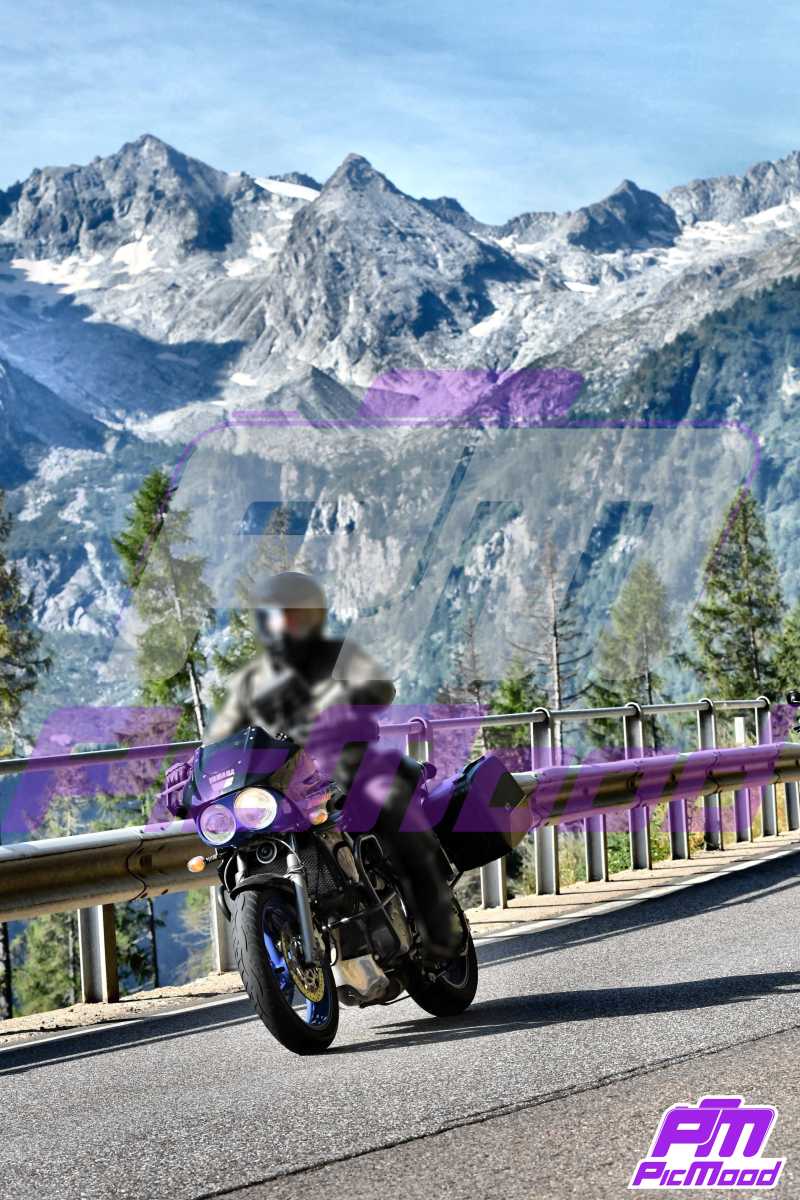 Foto Passo del Tonale 23 ago 2024 09:15