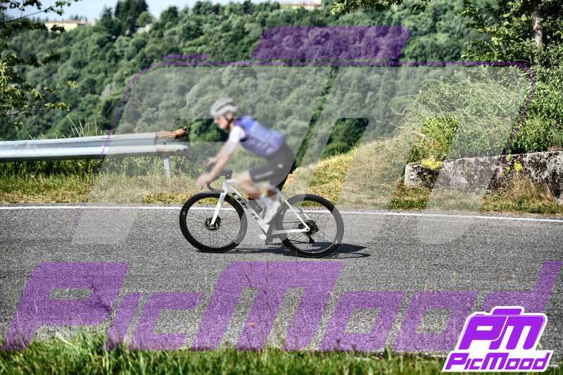 Foto Colli San Fermo 15 giu 2025 09:22