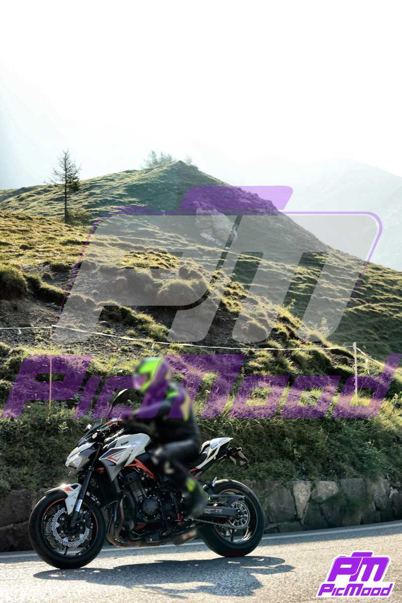 Foto Passo Rolle 24 ago 2024 09:11