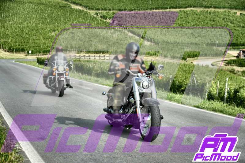 Foto Barolo 16 giu 2024 09:17