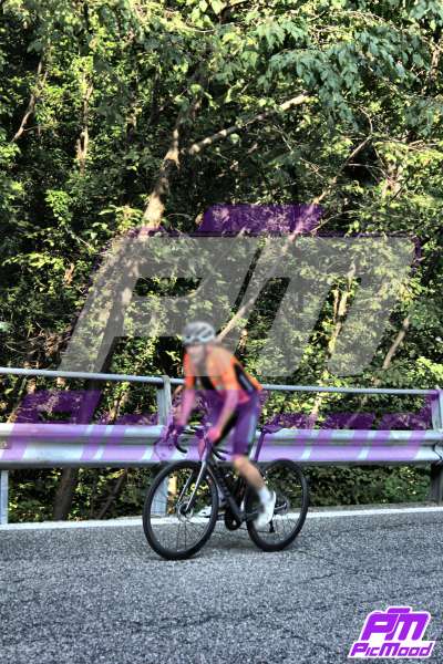 Foto Colma di Sormano 12 lug 2025 09:23