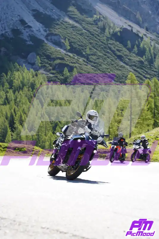 Foto Passo Rolle 24 mag 2026 09:24