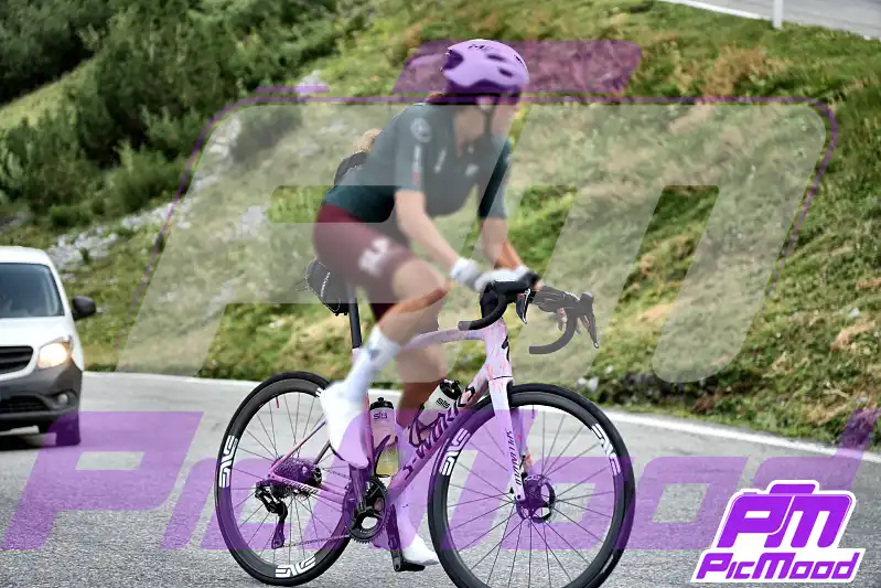 Foto Passo dello Stelvio 16 ago 2026 09:21