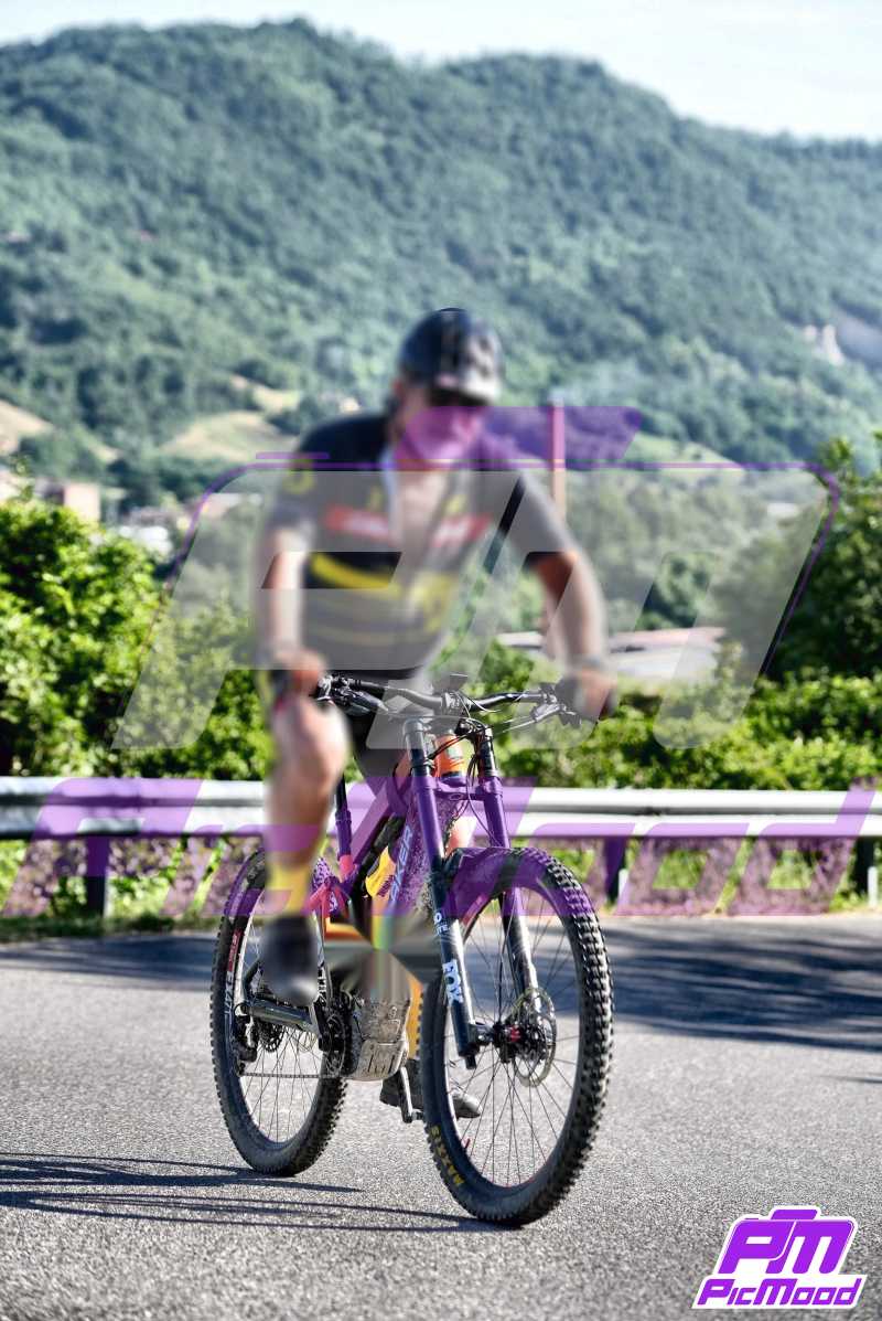 Foto Vernasca 30 giu 2024 08:53