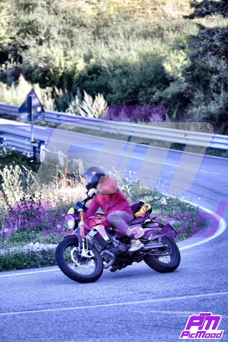 Foto Passo della Cisa versante Toscana 10 ago 2024 09:03