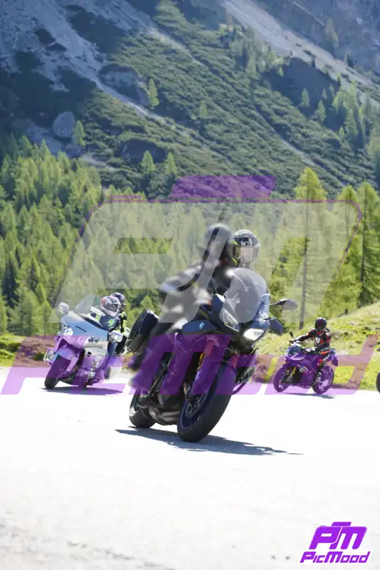 Foto Passo Rolle 24 mag 2026 09:24