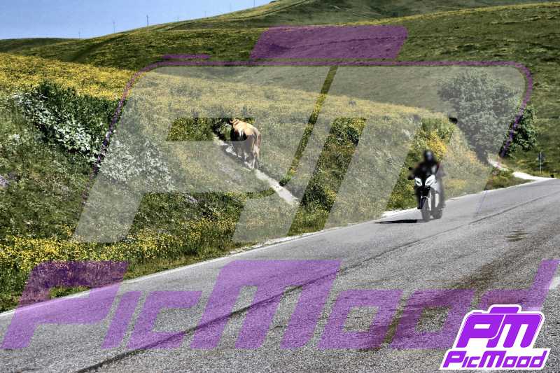 Foto Passo del Branchetto 15 giu 2025 09:49
