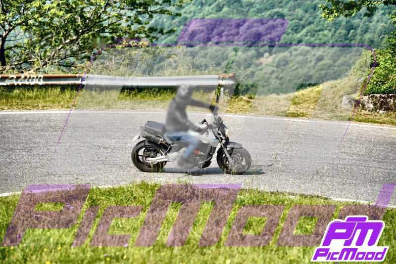 Foto Colli San Fermo 14 giu 2025 09:08