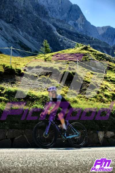 Foto Passo Rolle 27 lug 2025 09:42