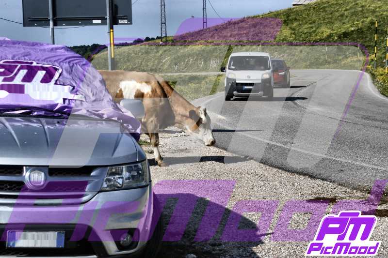 Foto Passo del Branchetto 15 giu 2025 09:47