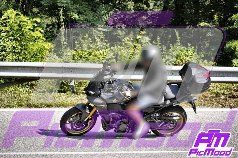 Foto Fai della Paganella 14 lug 2024 09:35
