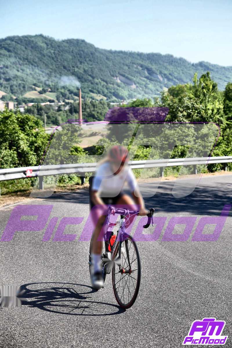 Foto Vernasca 22 giu 2024 09:17