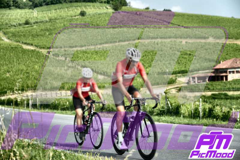 Foto Barolo 16 giu 2024 09:26