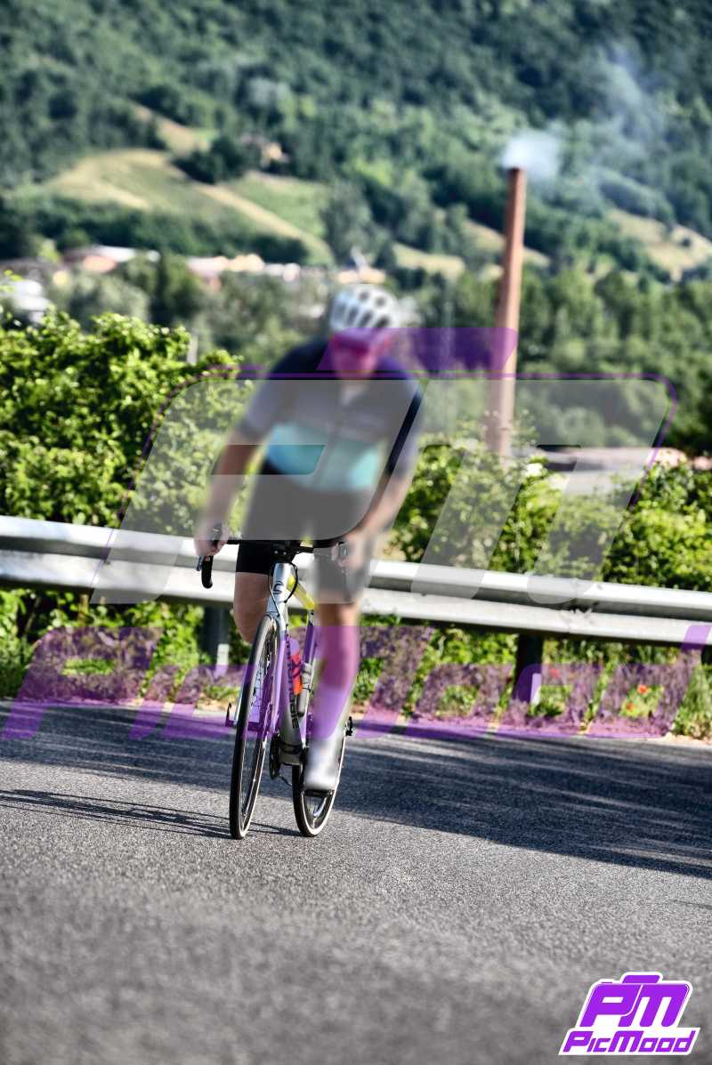 Foto Vernasca 15 giu 2024 08:43