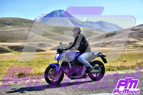 Foto Campo Imperatore 12 lug 2025 08:24