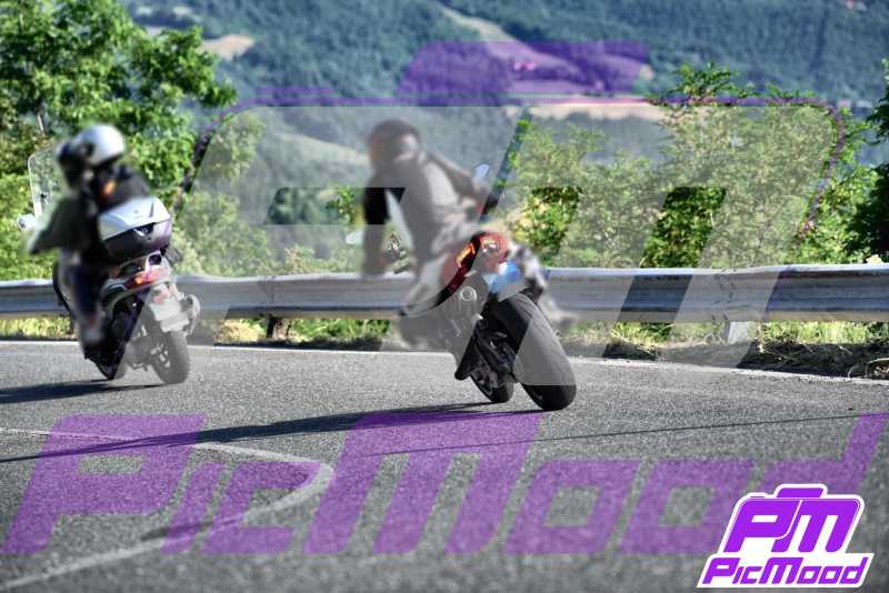 Foto Passo della Futa Raticosa 29 giu 2025 09:06