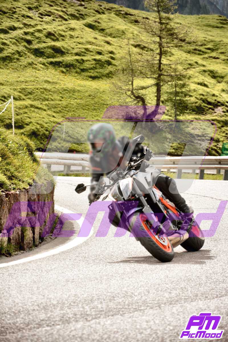 Foto Passo Rolle 13 lug 2024 10:08