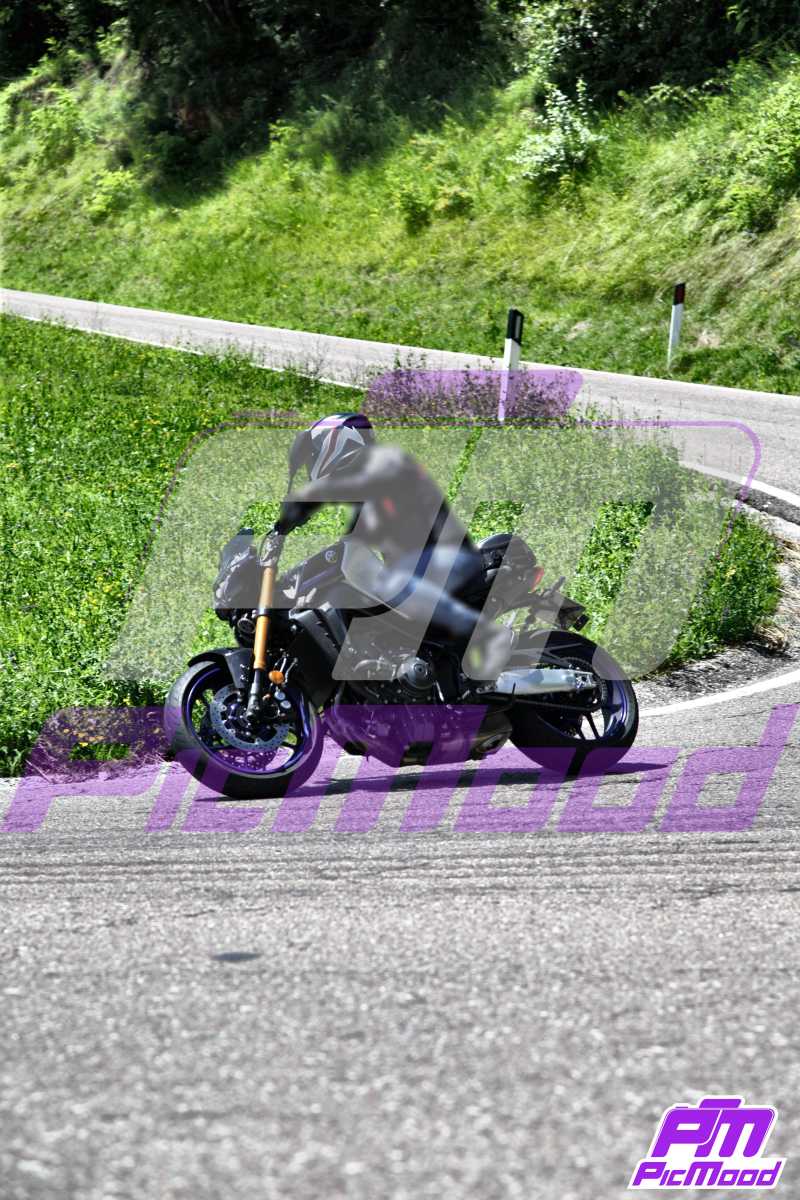 Foto Altopiano del Brentonico 22 giu 2024 10:22