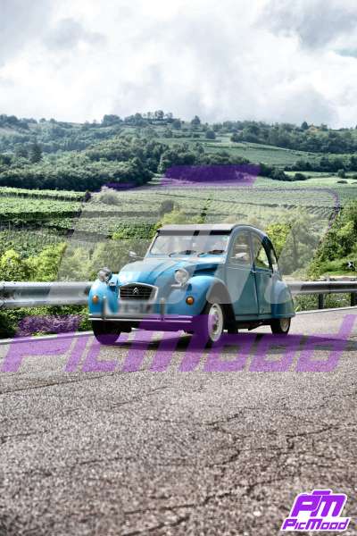 Foto Altopiano del Brentonico 26 lug 2025 09:41