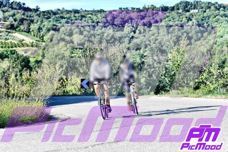 Foto Monferrato 14 set 2024 09:19