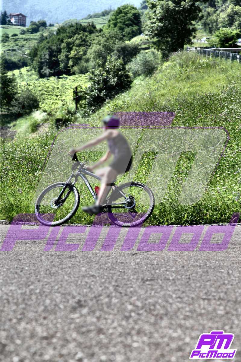 Foto Altopiano del Brentonico 14 lug 2024 11:01