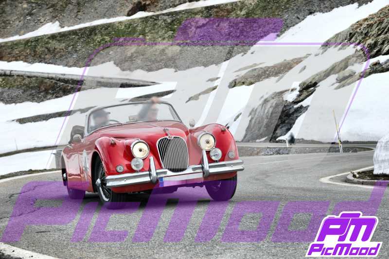 Foto Passo dello Stelvio 7 giu 2025 09:01
